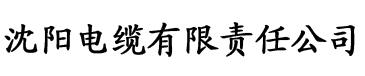 雏鸟视频污污污电缆厂logo